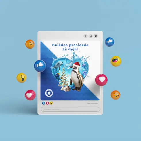 Socialinių tinklų dizainas